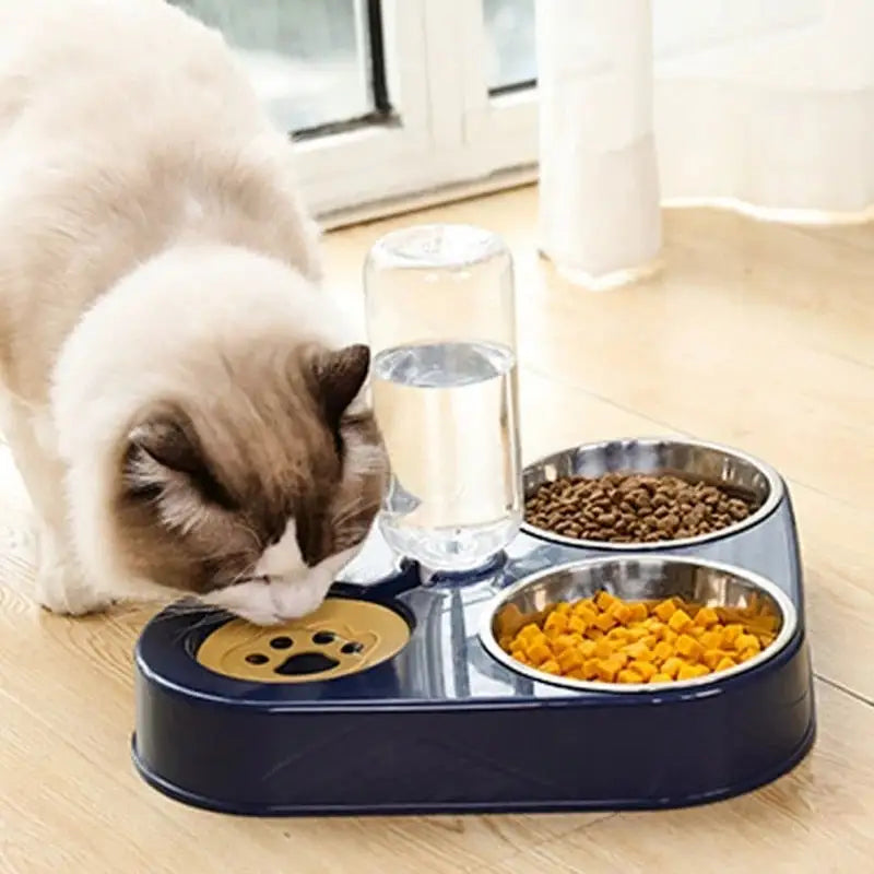 automatic pet feeder and water dispenser | HW Pets Store