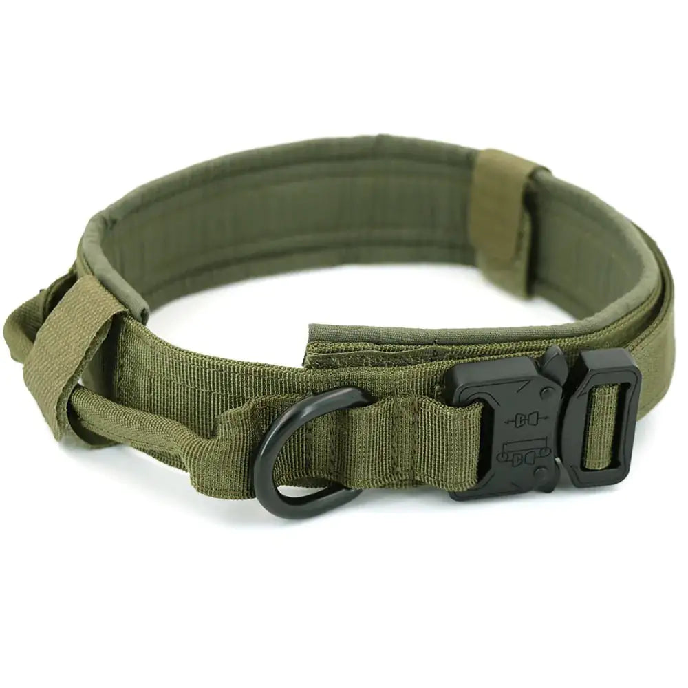 Dog Collar - HW Pets Store