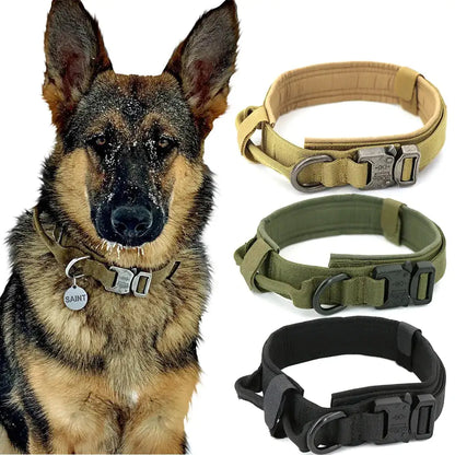 Dog Collar - HW Pets Store