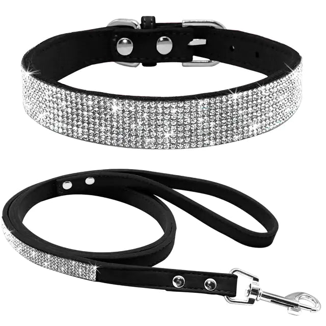 Pet Collar | HW Pets Store