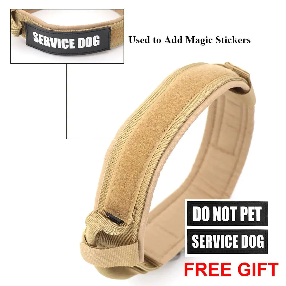 Dog Collar - HW Pets Store