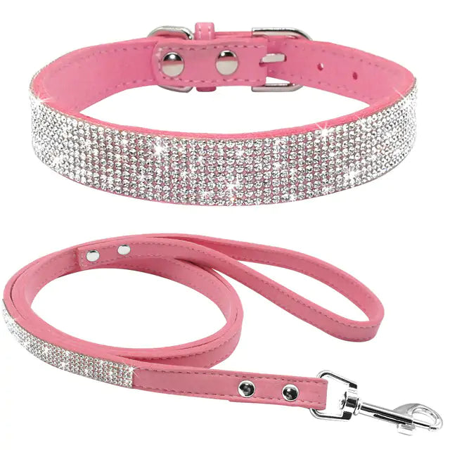 Pet Collar | HW Pets Store