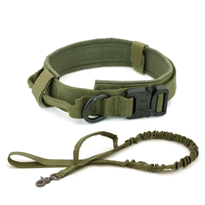 Dog Collar - HW Pets Store