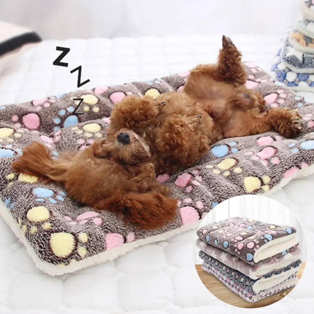 Pet Blanket | HW Pets Store