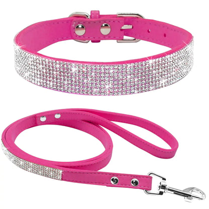 Pet Collar | HW Pets Store