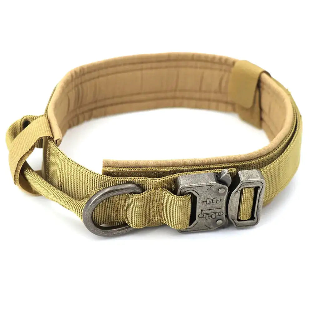 Dog Collar - HW Pets Store