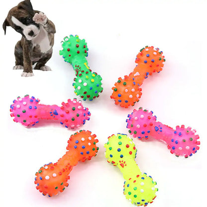 Pet Dumbbell Toy | HW Pets Store