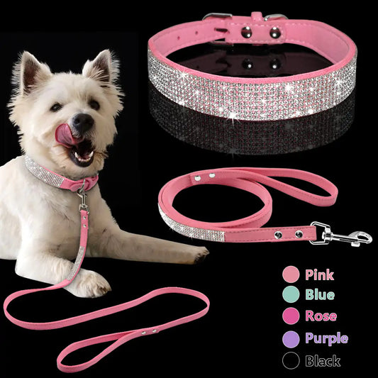 Pet Collar | HW Pets Store