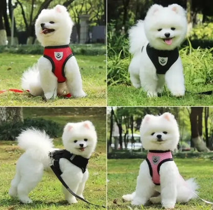 Dog Harness - HW Pets Store