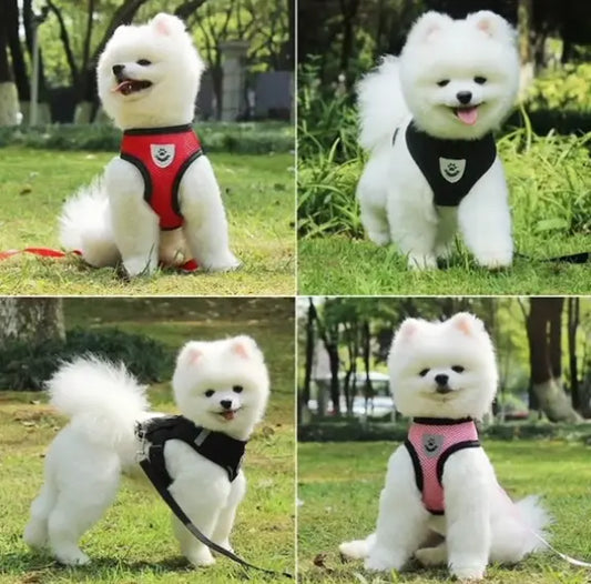 Dog Harness - HW Pets Store