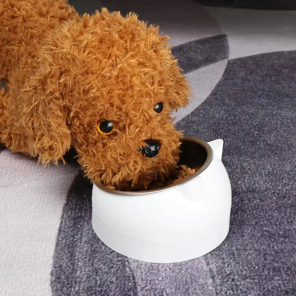 Pet Feeder Bowl & Water Dish - HW Pets Store