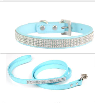 Pet Collar | HW Pets Store