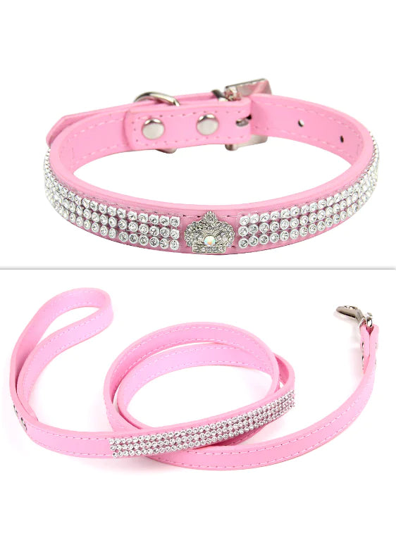 Pet Collar | HW Pets Store