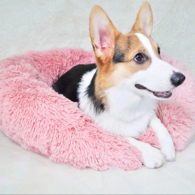 Pet Calming Bed | HW Pets Store