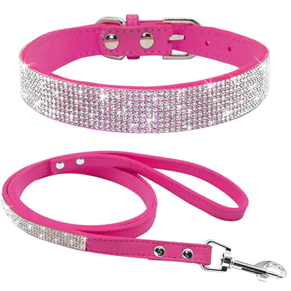 Pet Collar | HW Pets Store