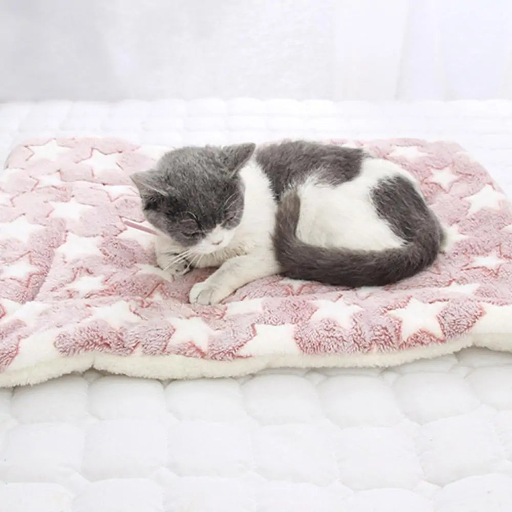 Pet Blanket | HW Pets Store