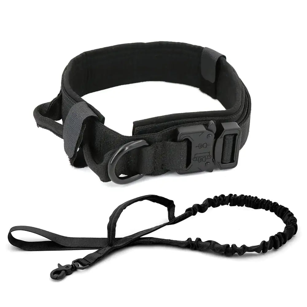 Dog Collar - HW Pets Store