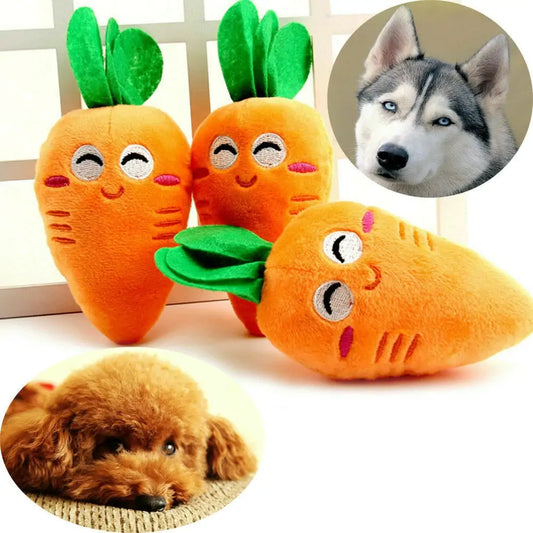 Carrot Pet Toy | HW Pet Store