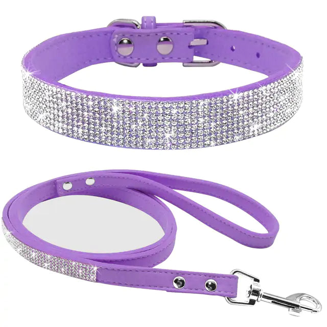 Pet Collar | HW Pets Store