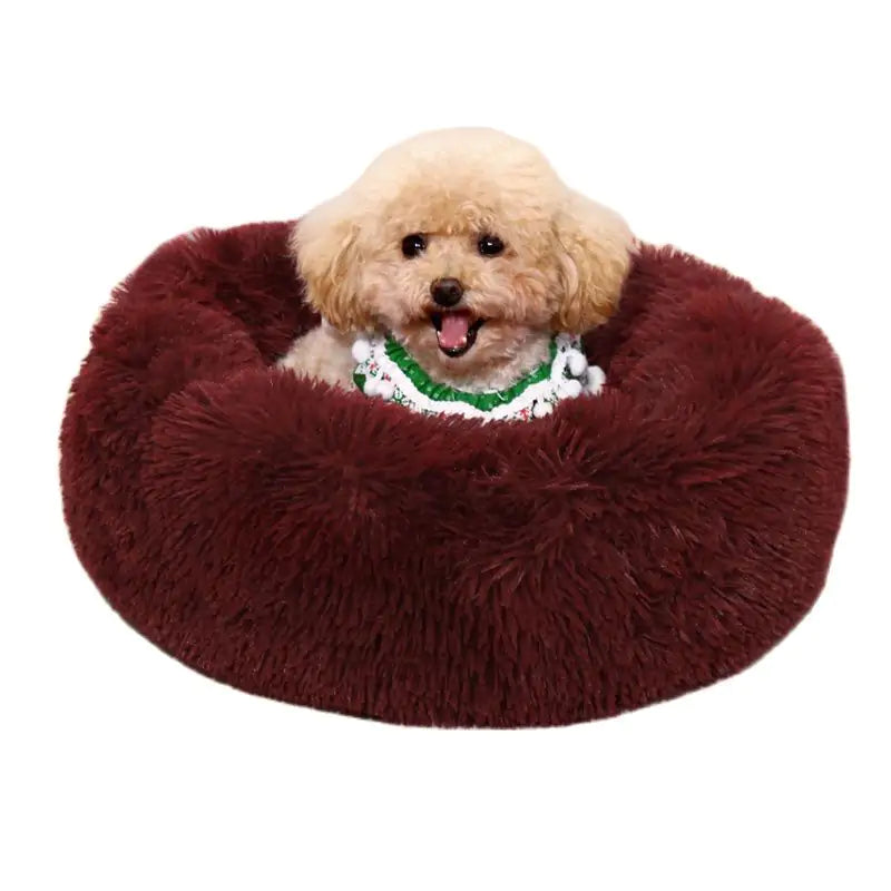 Pet Calming Bed | HW Pets Store