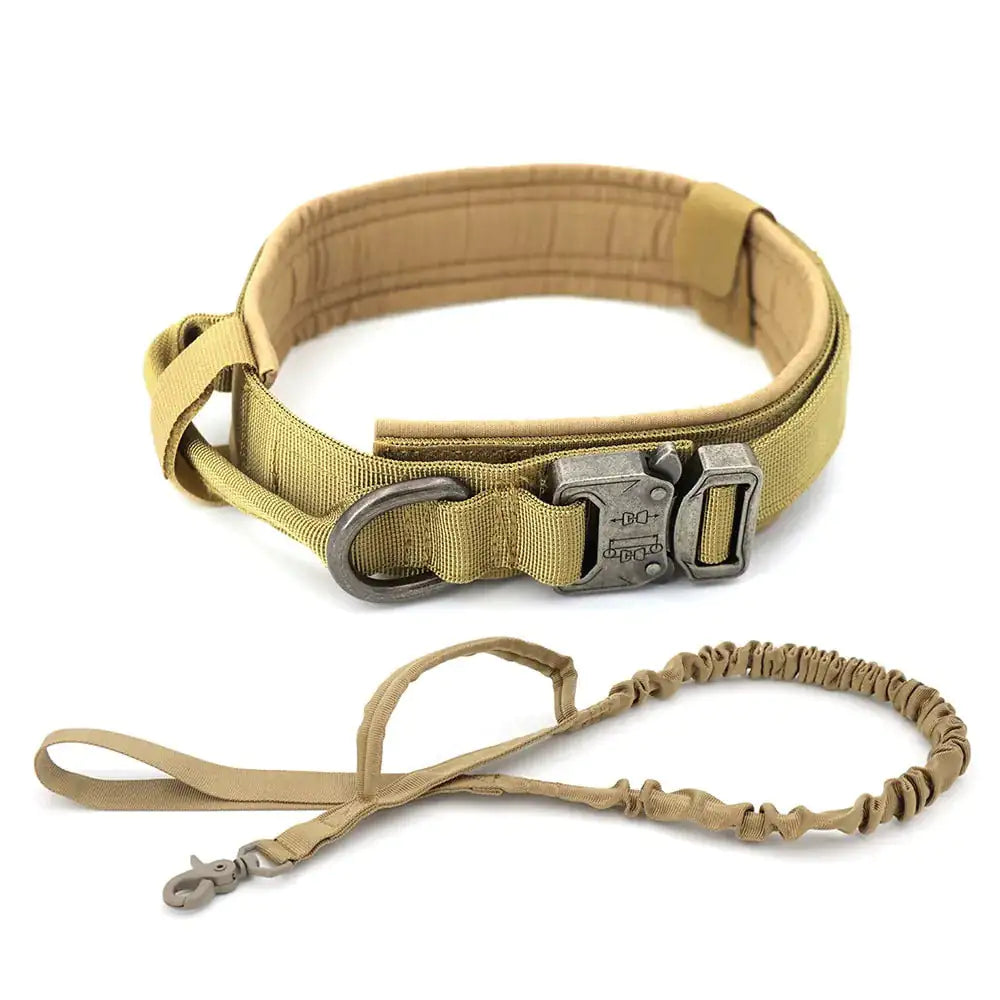 Dog Collar - HW Pets Store