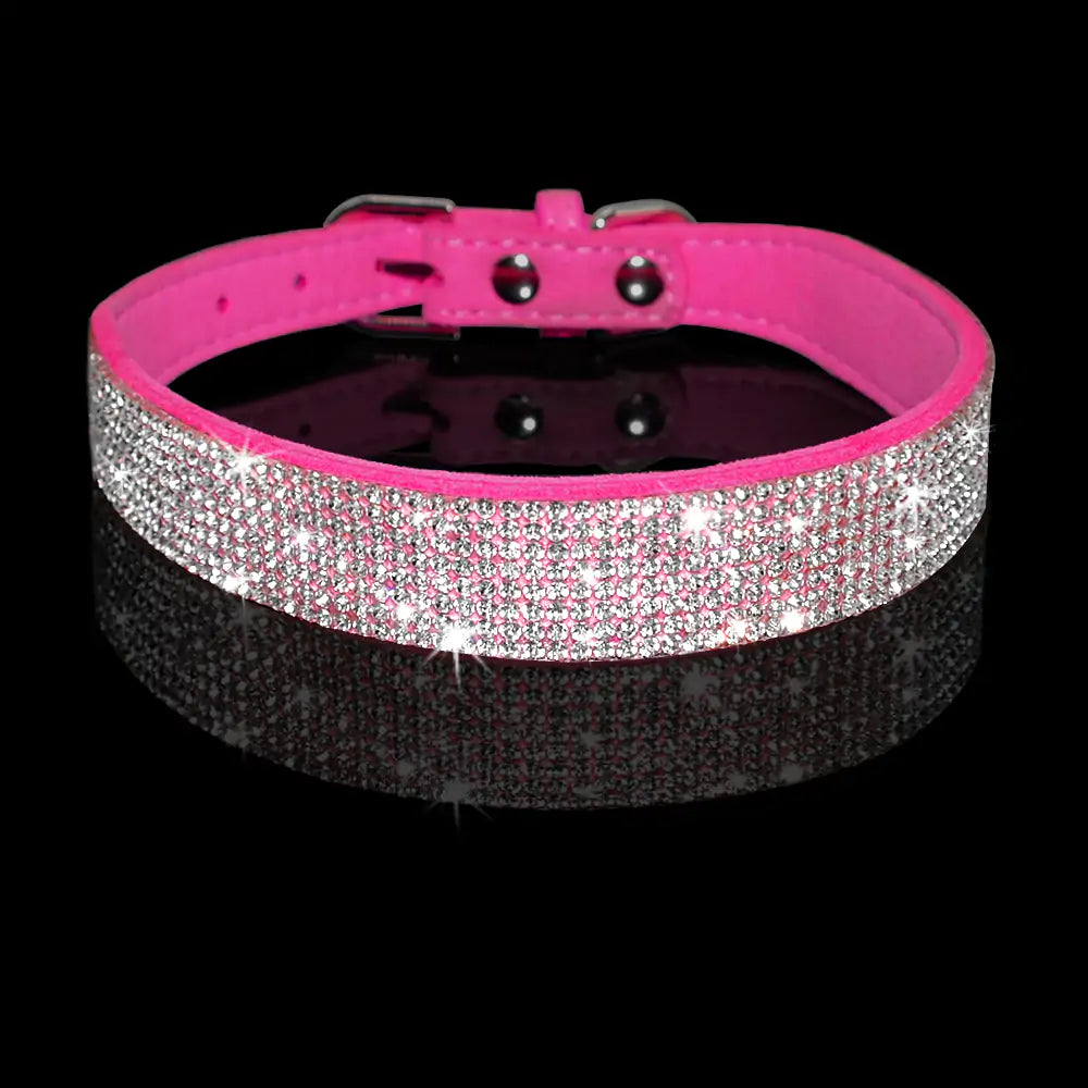 Pet Collar | HW Pets Store